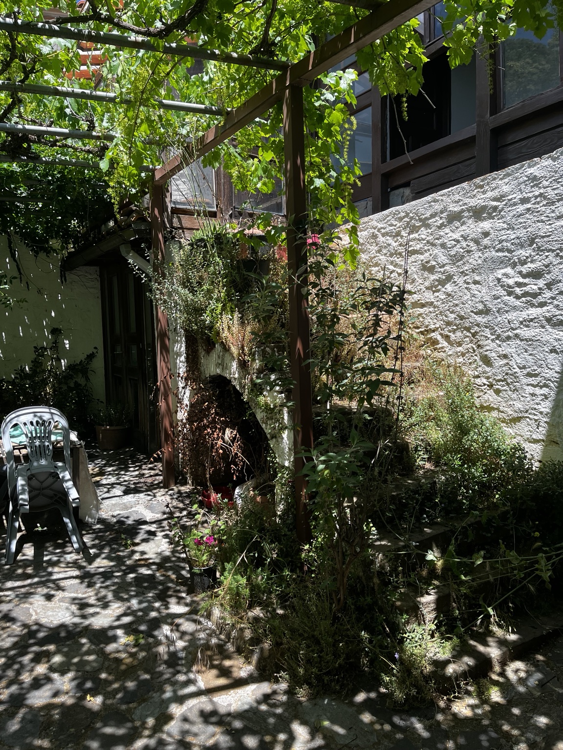 Courtyard with vines and stone paving